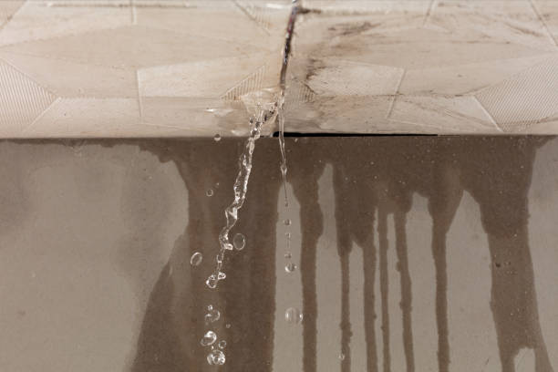 Professional Burst Pipe Cleanup technician working in Santo, TX